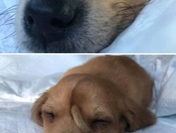 Kumpulan Foto yang Tak Disangka Benar-benar Ada, Unik Juga