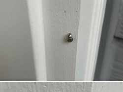 Kumpulan Foto yang Tak Disangka Benar-benar Ada, Unik Juga