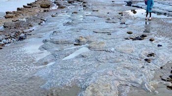 Jejak kaki dinosaurus di kikisan pantai. Foto: ArticleNew3737 via Bored Panda