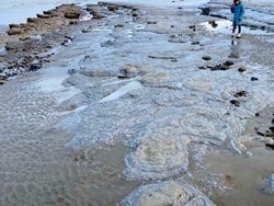 Kumpulan Foto yang Tak Disangka Benar-benar Ada, Unik Juga