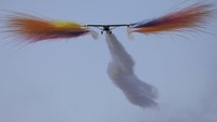 Pilot-pilot berbakat dari Eropa melakukan trik-trik yang mencengangkan, sementara pertunjukan drone, penerjun payung, dan model pesawat terbang menambah keseruan. Akan ada juga atraksi wing walker yang mendebarkan dan pertunjukan laser yang menerangi malam.
