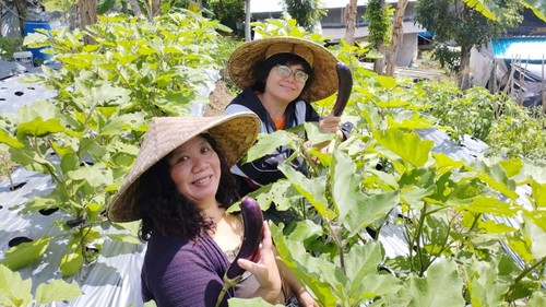 Pendamping, Andriana (pakaian ungu), dan Ketua KWT Kota Pala, Deonisia, di kebun KWT Kota Pala, Tabanan, Minggu (2/3/2025).