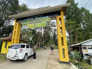 Aji Mumpung Lebaran? Tiket Pondok Halimun Rp 70 Ribu Dibantah Pengelola