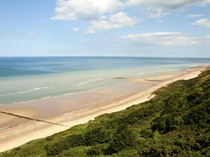 Rumah Penguin-Pulau dengan Penduduk 2.000 Orang Ini Juga Digoyang Tarif Trump