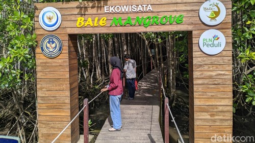Suasana Ekowisata Bale Mangrove, Desa Poton Bako, Kecamatan Jerowaru, Lombok Timur, NTB, saat libur Lebaran, Jumat (4/4/2025). (Ahmad Viqi/detikBali)
