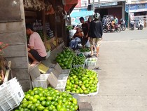 Alpukat dan Gula Batok Lubuklinggau Laris Manis Diburu Pemudik Saat Lebaran