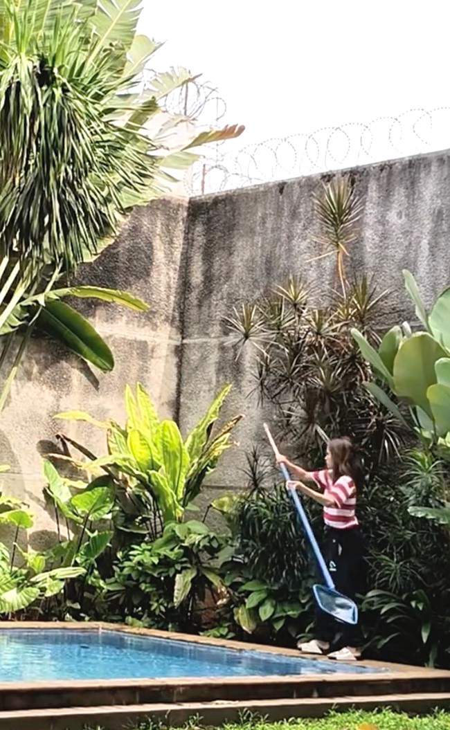 Cinta Laura mulai bersih-bersih rumah dengan membersihkan kolam renang. Menggunakan serokan, Cinta mengangkat daun-daun yang berjatuhan di kolam renangnya. Foto: Dok. Instagram Cinta Laura
