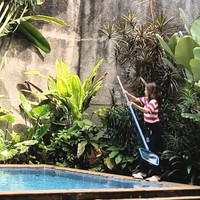 Cinta Laura mulai bersih-bersih rumah dengan membersihkan kolam renang. Menggunakan serokan, Cinta mengangkat daun-daun yang berjatuhan di kolam renangnya. Foto: Dok. Instagram Cinta Laura