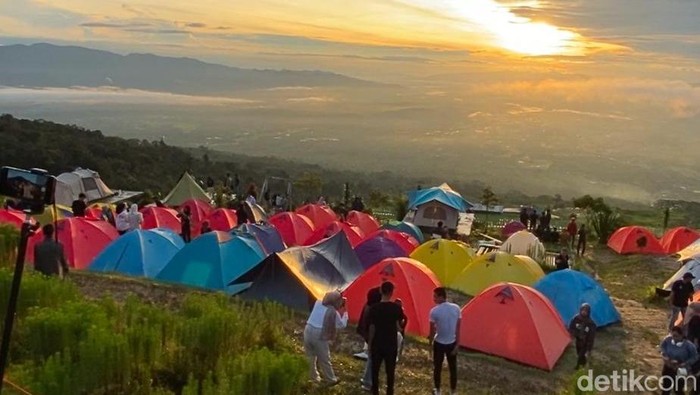 Kebun Raya Dempo spot terbaik menikmati Sunrise di Kota Pagar Alam