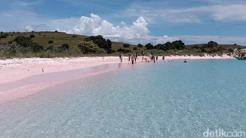 Pantai Pink Lambu di Kabupaten Bima, NTB. (Foto: Rafiin/detikBali)