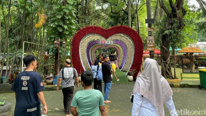 Pengunjung KBS cukup ramai di masa libur Lebaran 2025. Meski hujan diperkirakan lebih dari 12 ribu orang berkunjung ke kebun binatang ini.