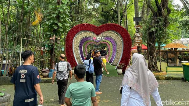 Pengunjung KBS cukup ramai di masa libur Lebaran 2025. Meski hujan diperkirakan lebih dari 12 ribu orang berkunjung ke kebun binatang ini.
