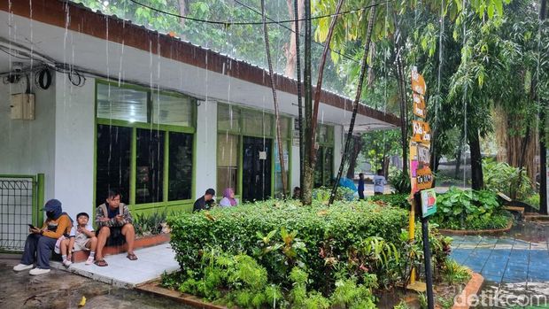 Pengunjung KBS cukup ramai di masa libur Lebaran 2025. Meski hujan diperkirakan lebih dari 12 ribu orang berkunjung ke kebun binatang ini.