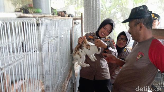 Polisi membudidayakan lele dan kelinci di pekarangan rumahnya demi ketahanan pangan.