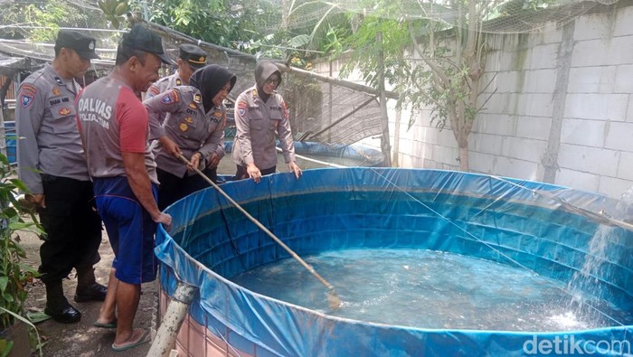Polisi membudidayakan lele dan kelinci di pekarangan rumahnya demi ketahanan pangan.