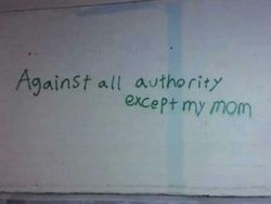 Ragam Meme Absurd Soal Kehidupan, YOLO!