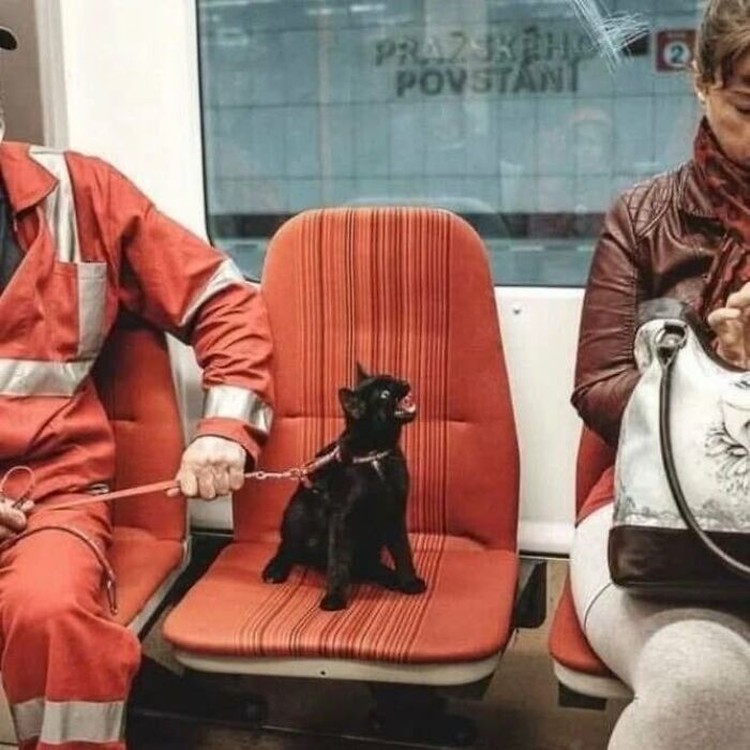 Namanya juga baru hidup pertama kali di muka Bumi. Masih banyak hal yang belum kita pahami. Ketawain aja deh, dulu.