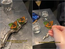 Restoran Berbintang Michelin Ini Punya Menu Kupu-kupu hingga Bola Mata