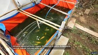 Lalu, Denada juga memiliki kolam ikan semi permanen yang merupakan ide dari ibunya. Di sana ia memelihara ikan nila. Foto: YouTube TRANS7 OFFICIAL
