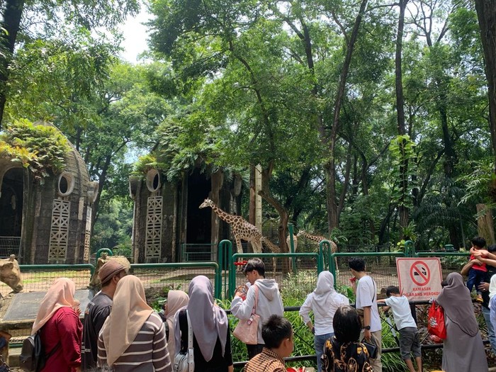 Suasana libur lebaran di Taman Margasatwa Ragunan