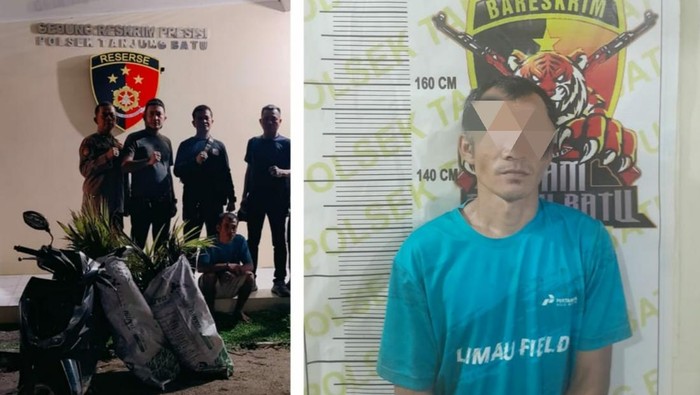 Tampang pelaku pencurian bibit sawit dan kurma di Ogan Ilir