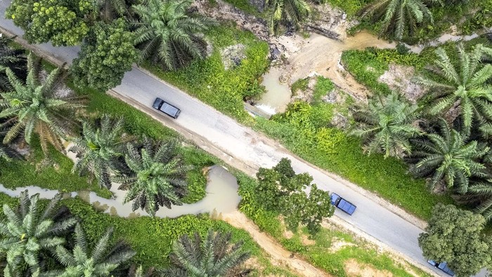 Foto udara kendaraan melintasi jalur alternatif Jambi-Sumbar via Ness di Bajubang, Batanghari, Jambi, Minggu (6/4/2025). Arus lalu lintas kendaraan pada H+5 Lebaran di jalan tersebut terpantau ramai lancar meski meningkat dibanding hari sebelumnya dengan didominasi kendaraan roda empat. ANTARA FOTO/Wahdi Septiawan/nz.