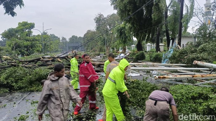 Hujan deras disertai angin di Jalan Tegar Beriman, Bogor, Minggu (6/4/2025) mengakibatkan pohon tumbang.