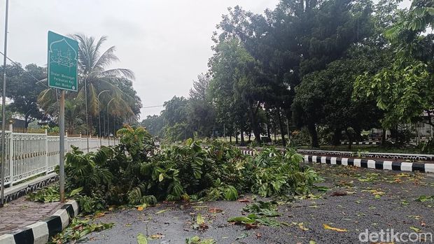 Hujan deras disertai angin di Jalan Tegar Beriman, Bogor, Minggu (6/4/2025) mengakibatkan pohon tumbang.