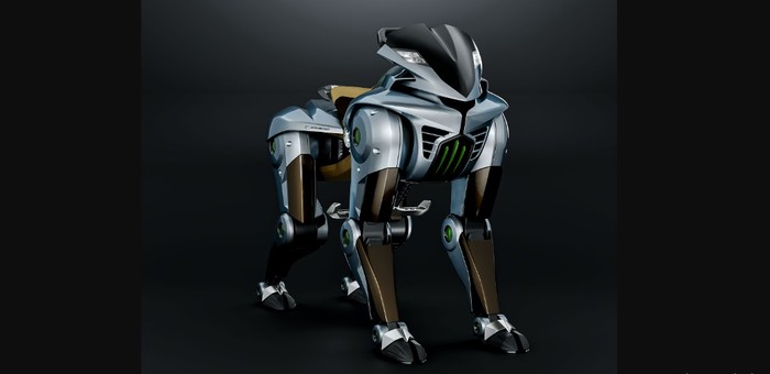 Kawasaki Corleo.