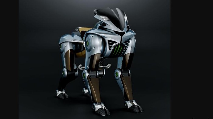Kawasaki Corleo.