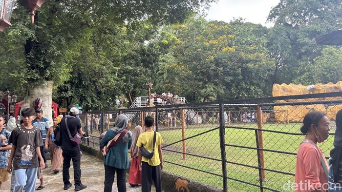 Kebun Binatang Surabaya