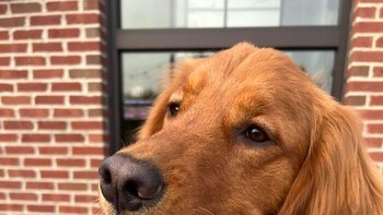 Tolong singkirkan minuman/sedotan dari meja? Terimakasih Foto: Boredpanda