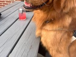 Kocak! Ketika Meminta Editin Foto Bagus Tapi Hasilnya Tidak Sesuai