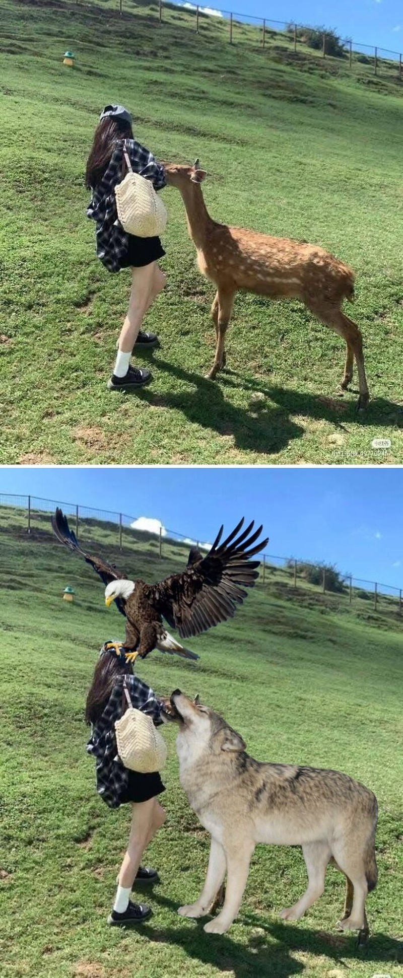 Kocak! Ketika Meminta Editin Foto Bagus Tapi Hasilnya Tidak Sesuai