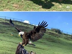 Kocak! Ketika Meminta Editin Foto Bagus Tapi Hasilnya Tidak Sesuai