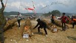 Melihat Pesta Rakyat Meriam Karbit di Kabupaten Bogor