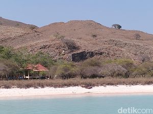 PT PHC dan TN Komodo Tegaskan Tak Larang Turis ke Pantai Utara Pulau Padar