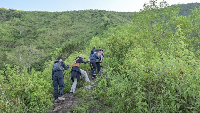 Sejumlah pengunjung mendaki Bukit Pergasingan di Desa Wisata Sembalun, Kecamatan Sembalun, Lombok Timur, NTB, Minggu (6/4/2025). Obyek wisata Bukit Pergasingan di ketinggian 1.670 mdpl itu menyuguhkan pemandangan alam Rinjani dan menjadi salah satu tujuan favorit wisatawan saat libur lebaran. ANTARA FOTO/Ahmad Subaidi/Spt.