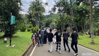 Kebun Raya Bogor. Tempat healing yang penuh pohon rindang ini bisa dikatakan paling ikonik di kota Bogor. Pengunjungnya tidak terbatas pada warga lokal tapi juga seluruh Indonesia. Di sini pengunjung bisa melihat aneka koleksi tanaman yang tumbuh subur. Detikers juga bisa menikmati berbagai fasilitas dan layanan yang tersedia. (Anggi/detikcom).