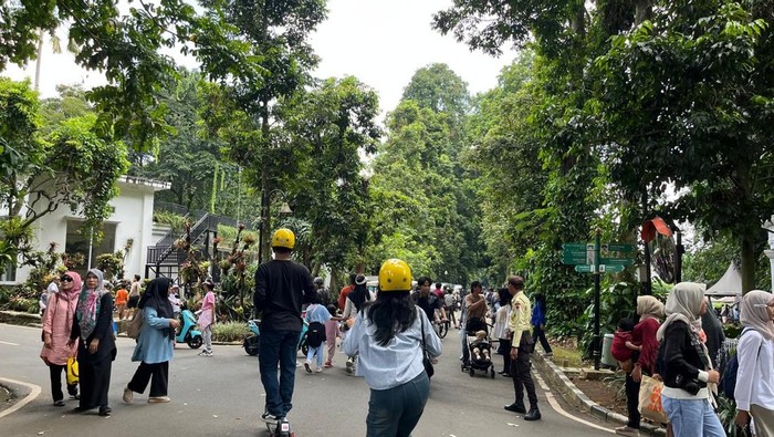 Suasana di Kebun Raya Bogor