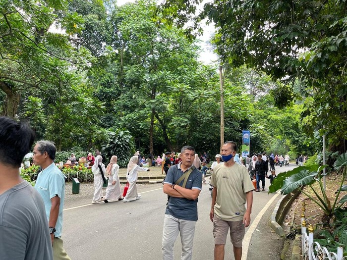 Suasana di Kebun Raya Bogor