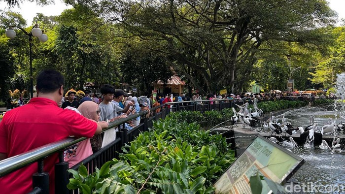 Taman Margasatwa Ragunan masih menjadi destinasi favorit warga Jakarta dan sekitarnya hingga penghujung masa libur Lebaran 2025. (Ondang/detikcom).