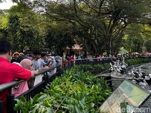Pengunjung Ragunan Tembus 455 Ribu Saat Libur Lebaran 2025
