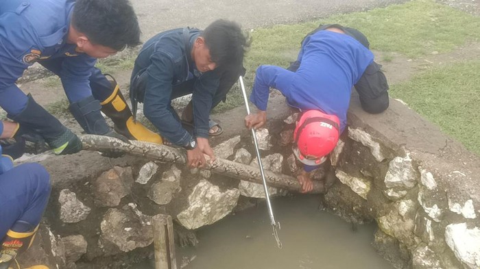 Warga di Kabupaten Maros, Sulawesi Selatan (Sulsel) dibuat geger dengan kemunculan ular piton sepanjang 5 meter di parit sekitar permukiman. Petugas Damkar turun ke lokasi mengevakuasi hewan melata tersebut.