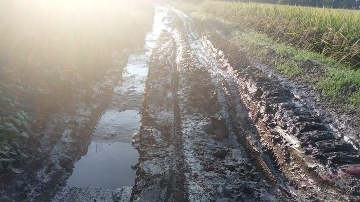 Akses pertanian di Kecamatan Kroya, Kabupaten Indramayu rusak