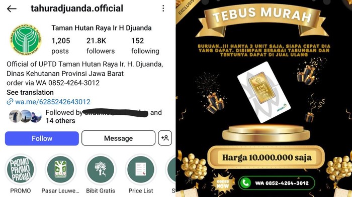 Akun Instagram Tahura Juanda Bandung diretas