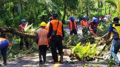 BPBD Karangasem bersama instansi terkait lain memangkas dahan pohon di jalur menuju Pura Besakih, Senin (7/4/2025). (Dok. BPBD Karangasem)