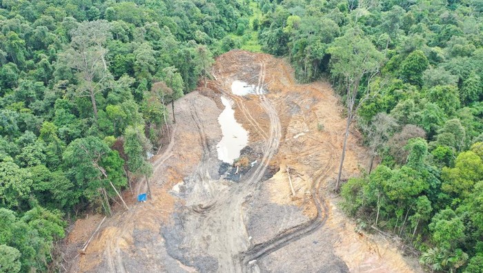 Hutan pendidikan Fakultas Kehutanan Unmul ditambang secara ilegal oleh pihak luar.