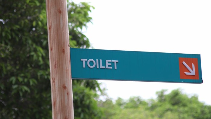 Ilustrasi toilet