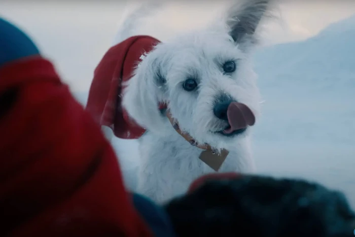 Penampilan Krypto si Superdog dalam trailer terbaru Superman.
